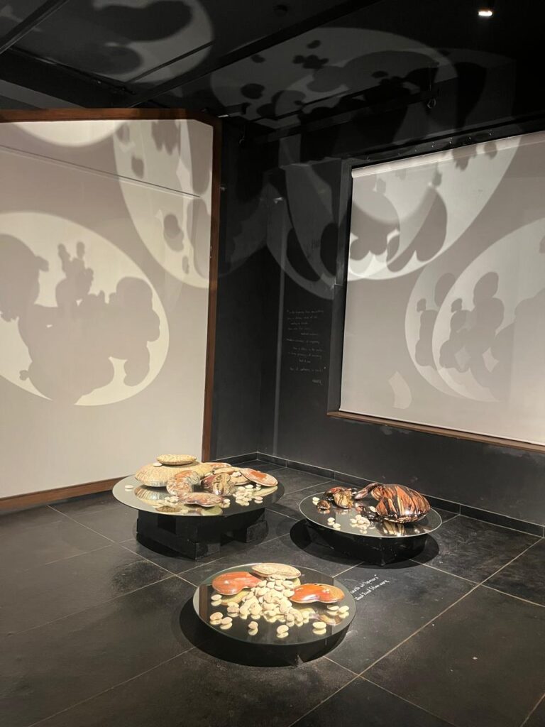 Exhibitions Images (3)